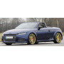 Lame de bas de caisse gauche "Rieger Tuning" pour AUDI TT / TT-S / TT-RS / (8J-FV / 8S)