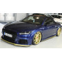 Lame de bas de caisse gauche "Rieger Tuning" pour AUDI TT / TT-S / TT-RS / (8J-FV / 8S)